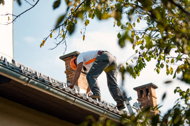 Best Roof Repair Services  in Trail Creek, IN