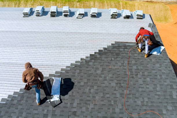 Best Roof Repair Services  in Trail Creek, IN