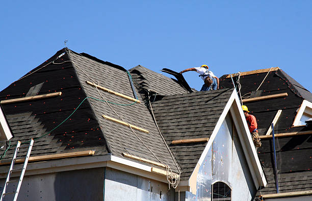 Best Metal Roofing Contractor  in Trail Creek, IN