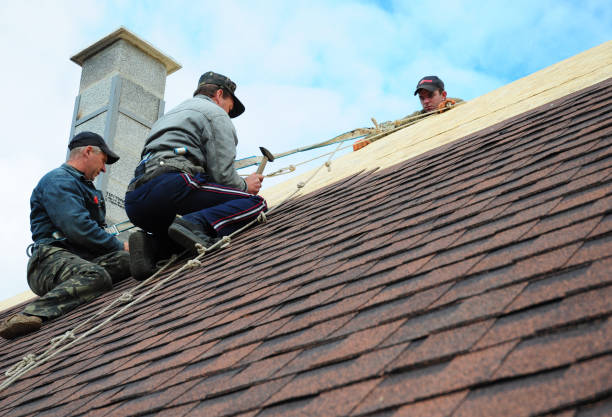 Best Local Roofing Companies  in Trail Creek, IN
