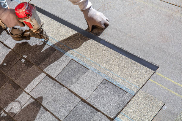 Best Roof Restoration Services  in Trail Creek, IN