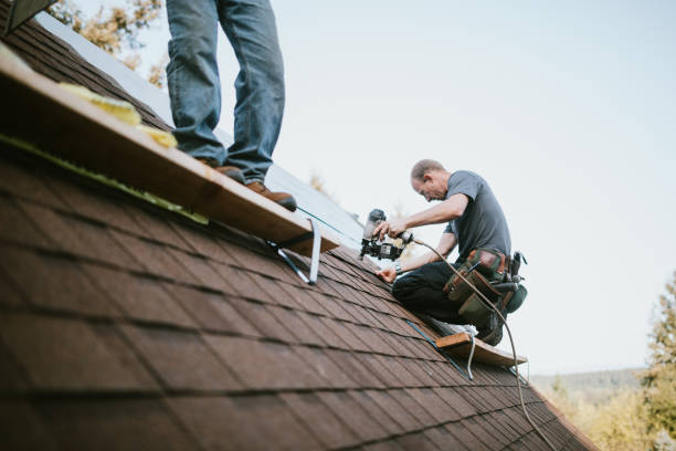 Best Roof Maintenance Services  in Trail Creek, IN