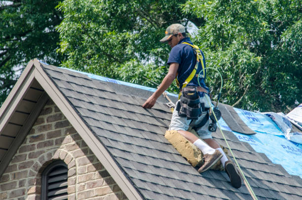 Best Storm Damage Roof Repair  in Trail Creek, IN