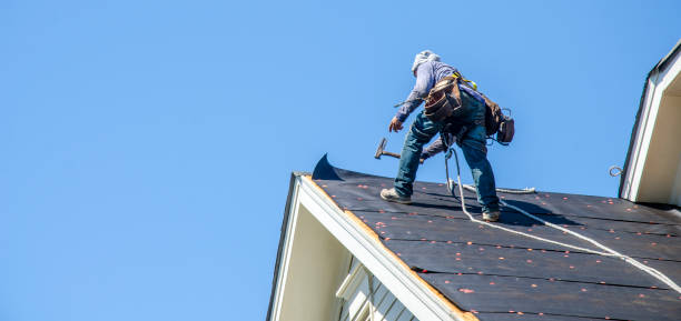 Best Roof Leak Repair  in Trail Creek, IN